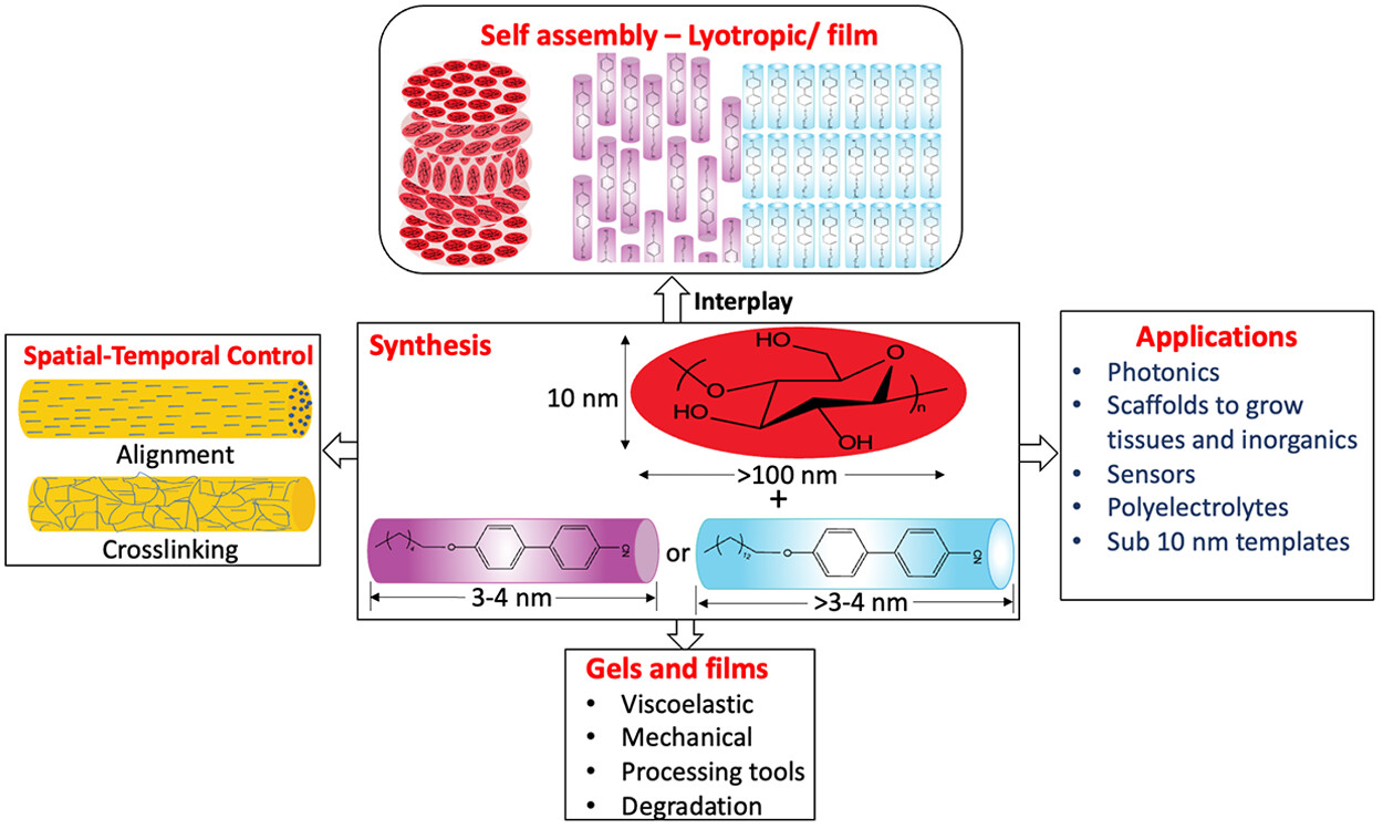 CNC Synthesis, Properties, and Applications Chart
